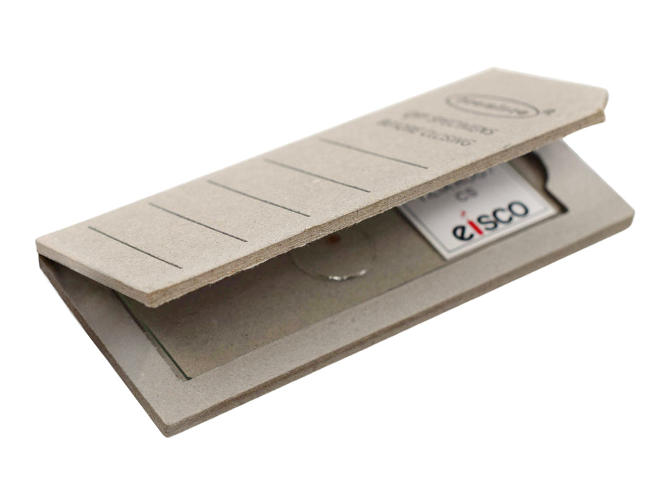 Human Spleen Section - Prepared Microscope Slide - 75x25mm